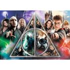 Trefl, Harry Potter, Talismanele Mortii, puzzle, 1000 piese