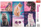 Trefl, Neon Color Line, Super pisici, puzzle, 1000 piese