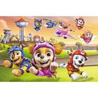 Trefl, Paw Patrol, puzzle, 160 piese
