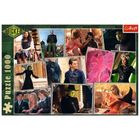 Trefl, Wicked, puzzle, 1000 piese