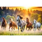 Trefl, Wild Horses, puzzle, 1500 piese