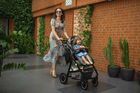 Lionelo, Amber, carucior multifunctional 3in1, Blue Navy