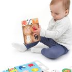 Banana Panda, Bingo Habitate, joc de bingo cu ghid pentru parinti, pentru varste de la 2 ani, 6 planse si 24 de jetoane