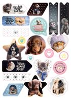 Beniamin, The Sweet Pets, autocolante decorative