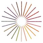 Bic, Kids, Evolution Stripes, creioane colorate, 24 buc.