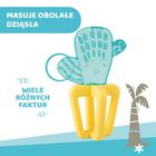 Chicco, Cactus, jucarie de dentitie cu apa