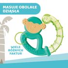 Chicco, jucarie de dentitie cu apa