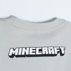 Cool Club, Bluza cu maneca lunga, gri deschis, imprimeu Minecraft