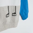 Cool Club, Bluza cu maneca lunga pentru baieti, mix