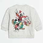 Cool Club, Bluza pentru baieti, gri, imprimeu Disney