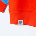 Cool Club, Bluza pentru baieti, rosu-albastru, imprimeu Marshall, Paw Patrol