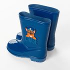 Cool Club, Cizme de cauciuc pentru baieti, albastru, imprimeu Paw Patrol