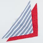 Cool Club, Esarfa pentru baieti, rosu, alb, set, 2 buc.