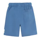 Cool Club, Pantaloni scurti din textil pentru baieti, albastru, imprimeu Sonic the Hedgehog