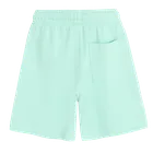 Cool Club, Pantaloni scurti pentru baieti, relaxed, turcoaz