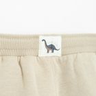 Cool Club, Pantaloni trening pentru baieti, caldurosi, bej