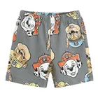 Cool Club, Pijama pentru baieti, gri, imprimeu Paw Patrol