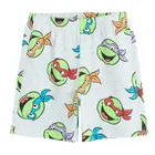 Cool Club, Pijama pentru baieti, mix, imprimeu Teenage Mutant Ninja Turtles