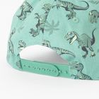 Cool Club, Sapca pentru baieti, verde