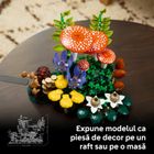LEGO Botanicals, Ciuperci de padure, 11505
