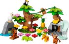 LEGO DUPLO, Animale salbatice din America de Sud, 10973