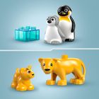 LEGO DUPLO, Familii de animale salbatice: Pinguini si lei, 10442