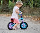 Milly Mally, Dragon Air, bicicleta fara pedale, Red-Blue