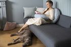 Motherhood, perna multifunctionala Sleepy-C, Beige Classics
