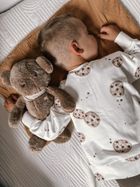 MyHummy (Szumisie), Ursulet 5 in 1 cu lampa, 36 cm, maro