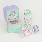 Pusheen, sticla de apa, 500 ml