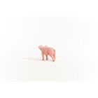 Schleich, Farm World, Porculet, figurina, 13934