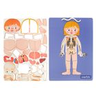 Smiki, Anatomia umana, joc de potrivire magnetic