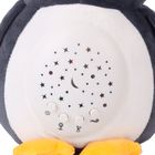 Smiki, Little Dreamer, Pinguin, proiector de stele din plus