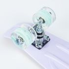 Smiki, placa skateboard tip fish cu roti LED, lila