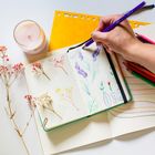 Bic, Color Up, creioane, 12 culori