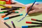 Bic, Intensity Dual Tip, marker dublu cu etui, 12 buc.