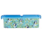 Bluey, cutie pentru pranz cu compartimente
