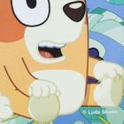 Bluey, cutie pentru pranz Funny