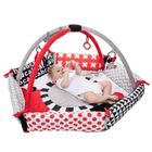 Canpol babies, Sensory Toys, saltea de joaca senzoriala