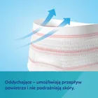 Canpol babies, set pentru mame dupa nastere: chiloti postnatali, marime L/XL, 2 buc. + servetele umede, 60 buc.