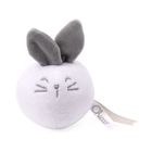 Chicco, My Sweet Dou Dou, set de mingi senzoriale