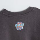 Cool Club, Bluza cu maneca lunga pentru baieti, gri, imprimeu Paw Patrol