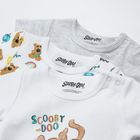 Cool Club, Body cu maneca scurta pentru baieti, bumbac organic, mix de culori, imprimeu Scooby-Doo, set 3 buc.