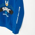 Cool Club, Hanorac pentru baieti, bleumarin, imprimeu Sonic the Hedgehog