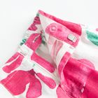 Cool Club, Pantaloni scurti pentru fete, bermude, mix