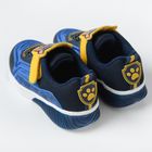Cool Club, Pantofi sport pentru baieti, albastru, talpa cu leduri, imprimeu Paw Patrol