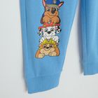 Cool Club, Pijama pentru baieti, mix, imprimeu Paw Patrol