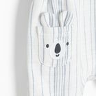 Cool Club, Set pentru baieti, Body cu maneca scurta, Pantaloni scurti salopeta, mix