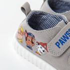 Cool Club, Tenisi pentru baieti, gri-albastru, in dungi, imprimeu Paw Patrol