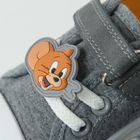 Cool Club, Tenisi pentru baieti, gri, imprimeu Tom & Jerry
